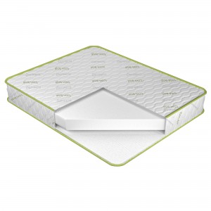 Saltea Home Aloe Vera 19 cm