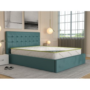 Saltea Home Aloe Vera 19 cm