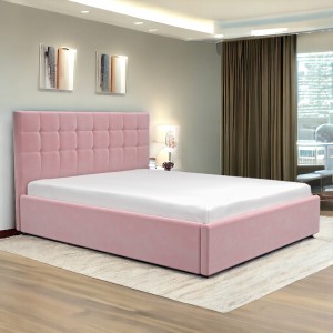 Pat tapitat Leon roz